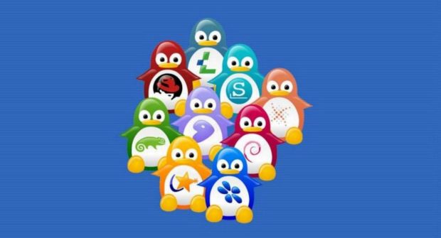 Linux.com: Romanca Teodora Baluta a gasit o metoda noua pentru curatarea Linuxului de erori