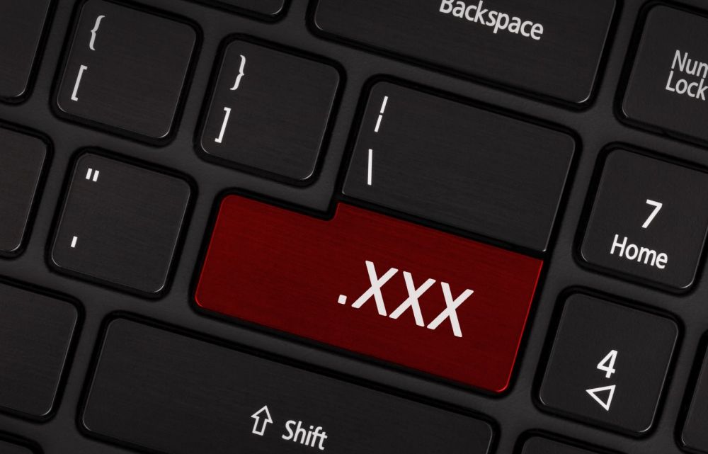 Utilizatorii unuia dintre cele mai mari site-uri pentru adulti au fost dezvaluiti pe internet