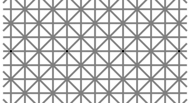 O iluzie optica a indus in eroare peste 2 milioane de oameni! Cate puncte negre sunt in imagine