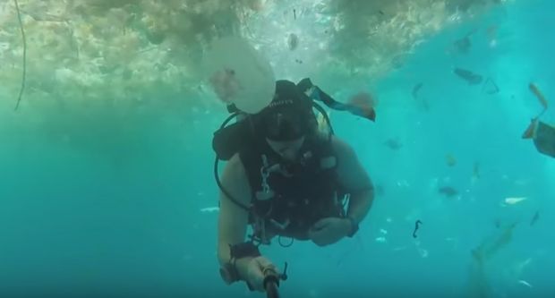 Imagini tulburatoare filmate intr-un paradis turistic. Ce-a vazut acest scafandru