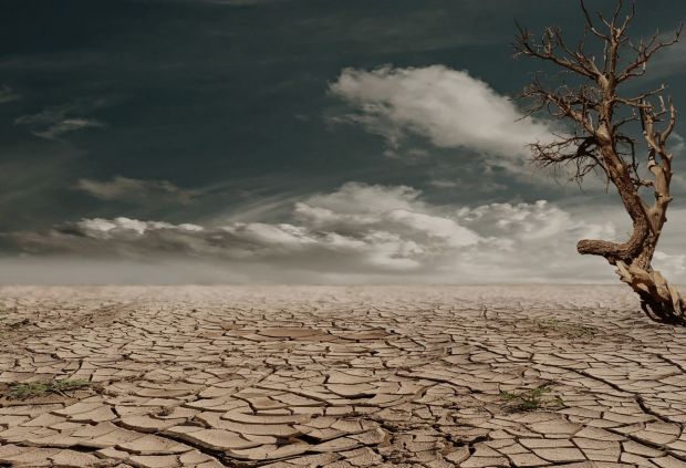 Efectele schimbărilor climatice. Omenirea riscă o criză alimentară fără precedent