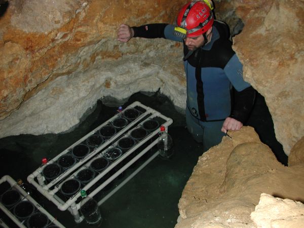 Descoperire incredibilă într-o peșteră din România! A fost numit Regele Peșterii