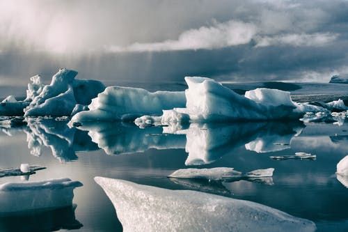 Specii necunoscute, descoperite sub gheața din Antarctica. Biologii spun că nu ar trebui să existe