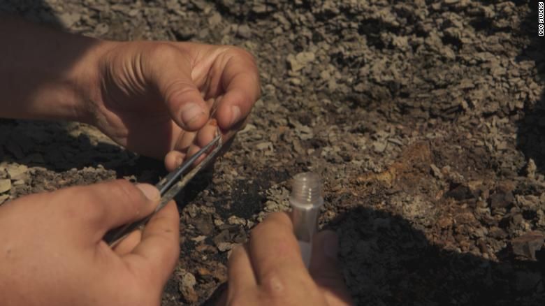 Un fragment din asteroidul care a ucis dinozaurii, găsit pe Pământ după 66 de milioane de ani