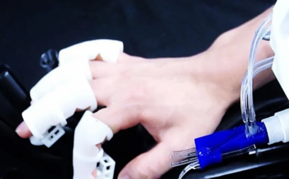 Degetele robotice minuscule care le permit oamenilor să interacționeze cu insectele